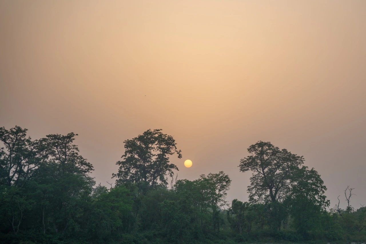Walking safari in Bardia