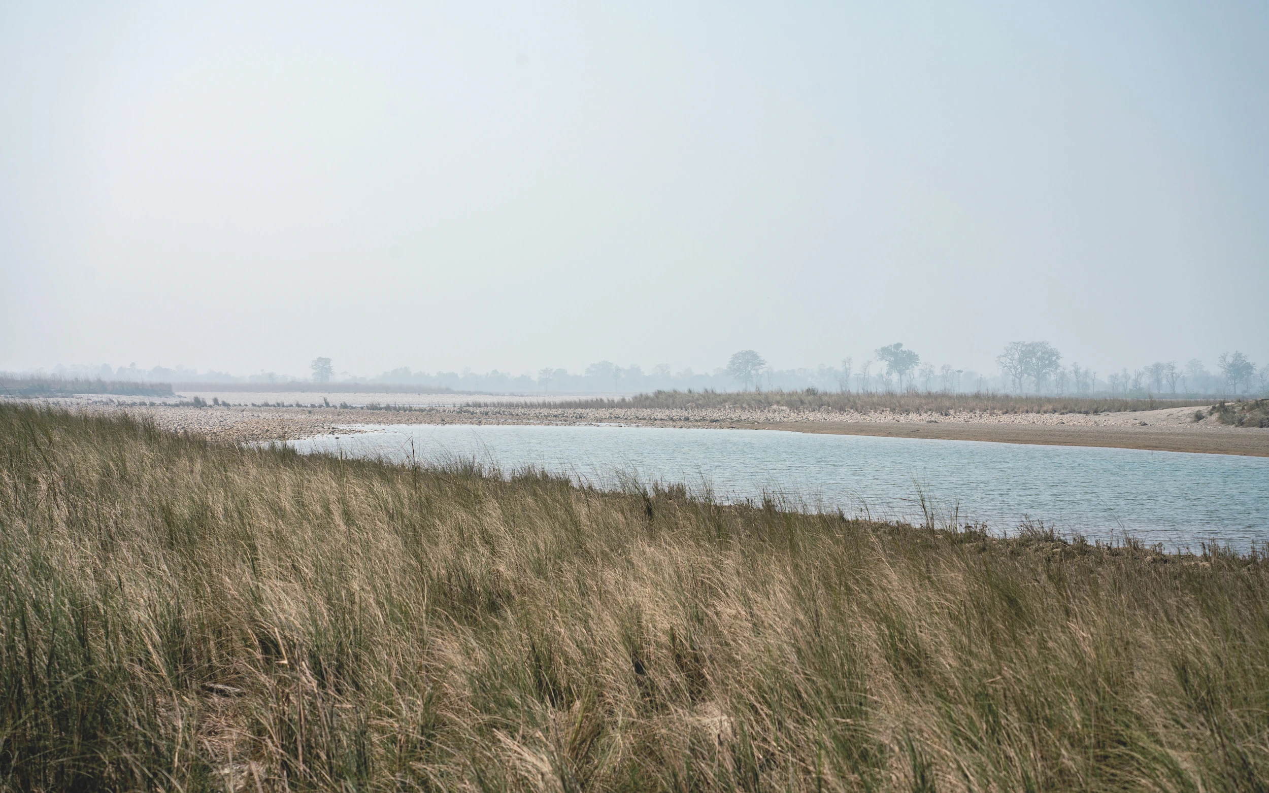 Safari in Bardia National Park