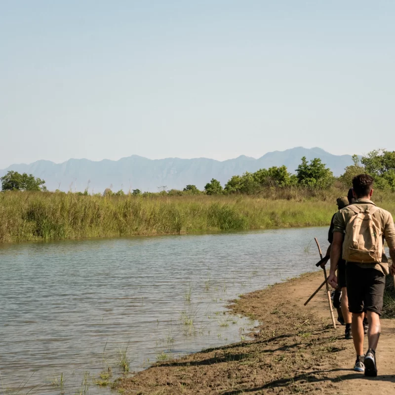 Jungle safari in Bardia National Park