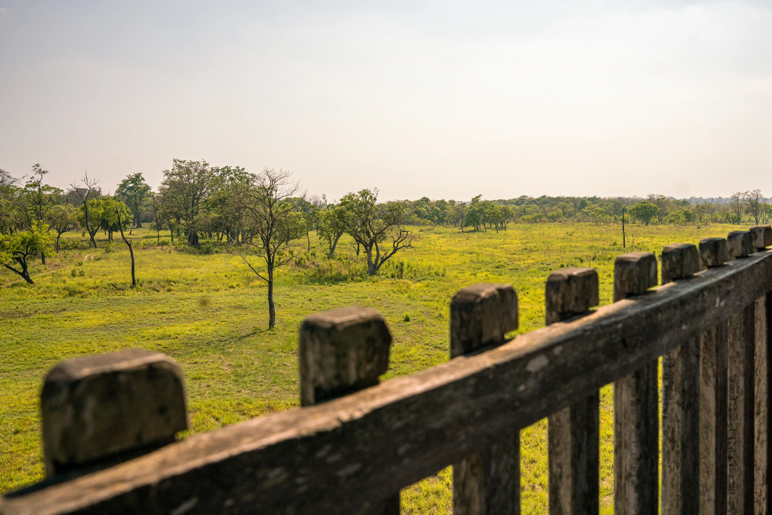 Bardiya Nepal