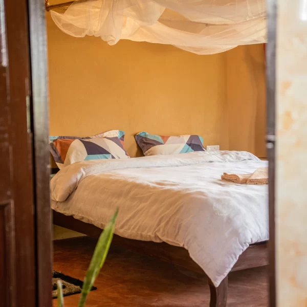 Cozy bedroom with a queen size bed, mosquito net above the bed and indoor plants