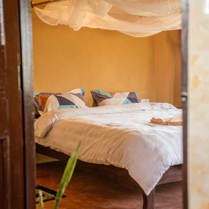 Cozy bedroom with a queen size bed, mosquito net above the bed and indoor plants