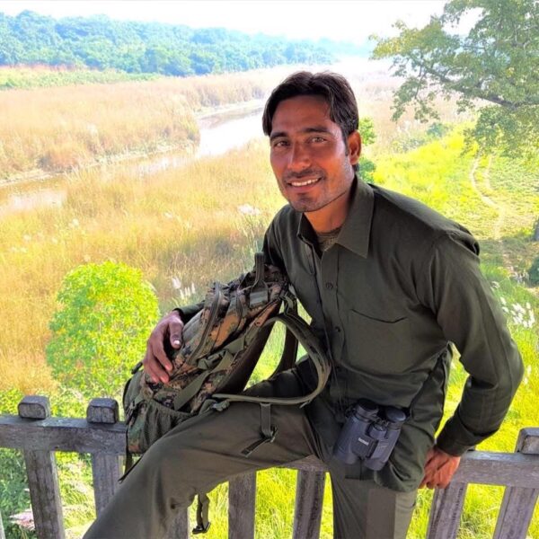 wildlife guide