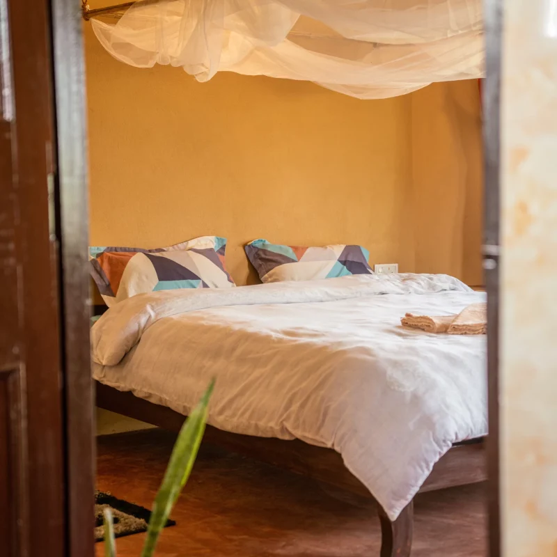 Cozy bedroom with a queen size bed, mosquito net above the bed and indoor plants