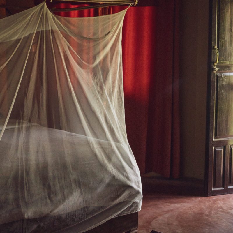 Bedroom with mosquito net at the bed and thick curtains